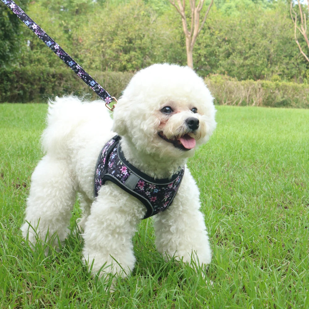 Small Dog Harness Leash Set Cute Traction Bracelet Medium Cat Collar Vest Harness Adjustable