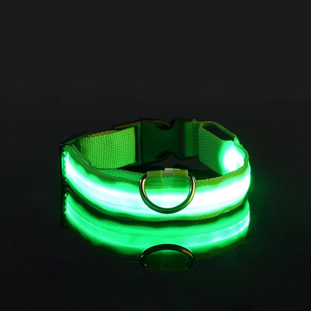 Nylon LED Night Safety Flashing Glow in The Dark Dog Leash Dogs Luminous Fluorescent Pet Dog Collar