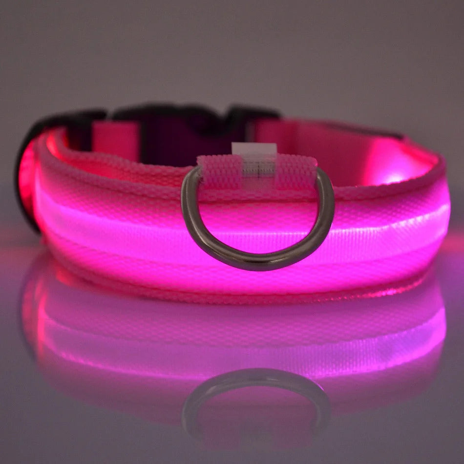 Nylon LED Night Safety Flashing Glow in The Dark Dog Leash Dogs Luminous Fluorescent Pet Dog Collar