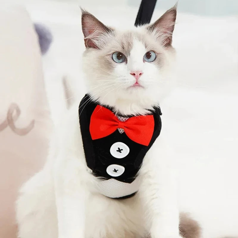Elegant Bowtie Dog Harness Vest with Leash Adjustable Cat Harness Leash Set Cute Bowknot Tuxedo