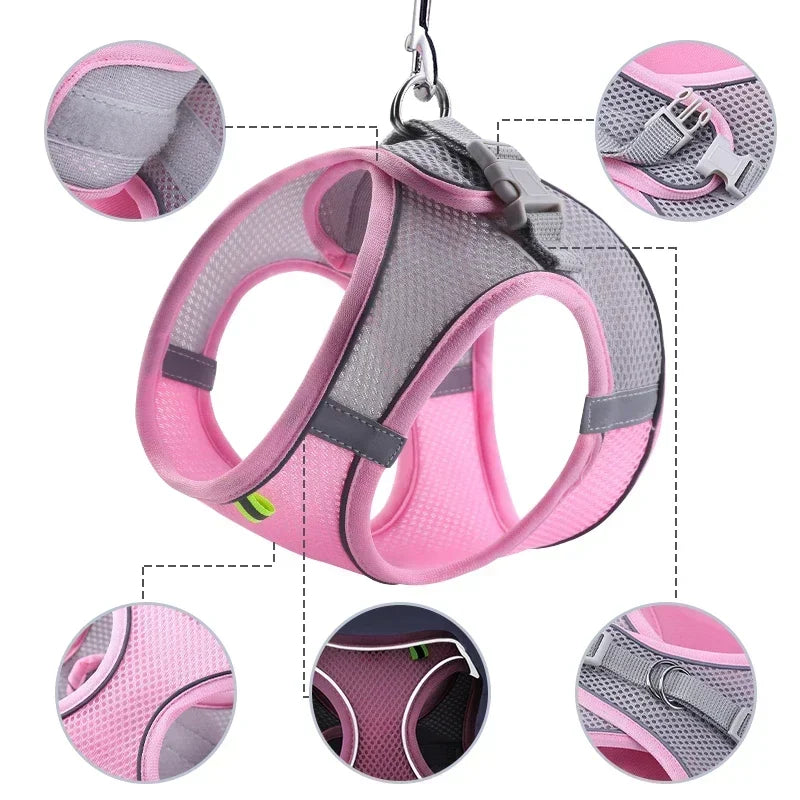 Dog Harness Leash Set for Small dogs