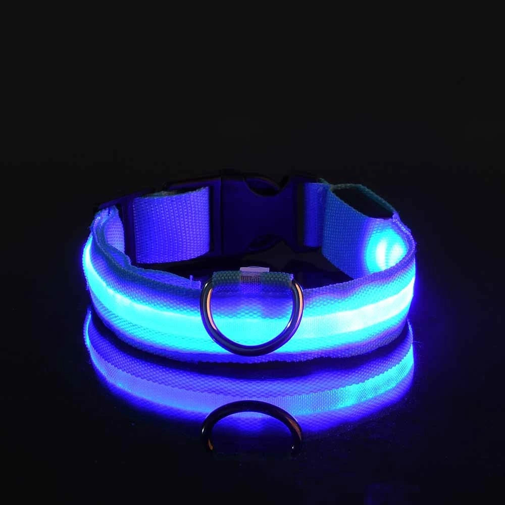 Nylon LED Night Safety Flashing Glow in The Dark Dog Leash Dogs Luminous Fluorescent Pet Dog Collar