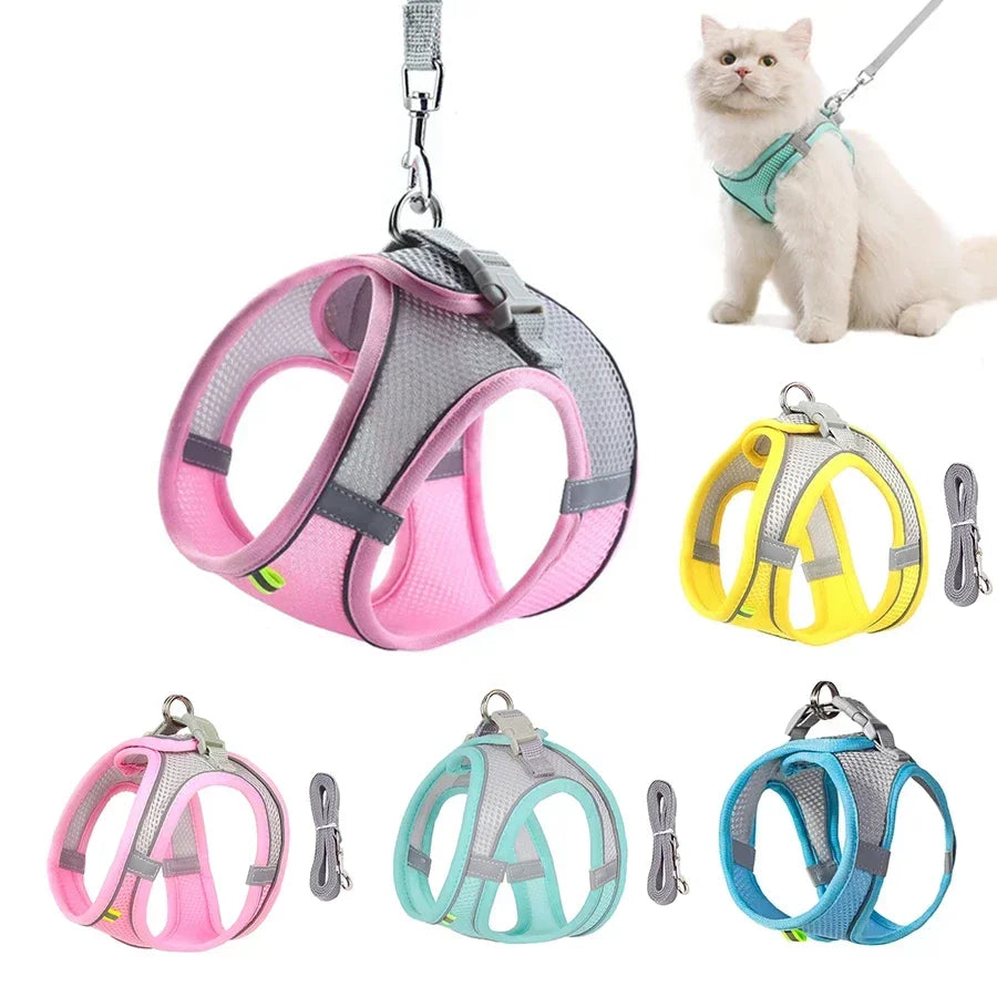 Dog Harness Leash Set for Small dogs