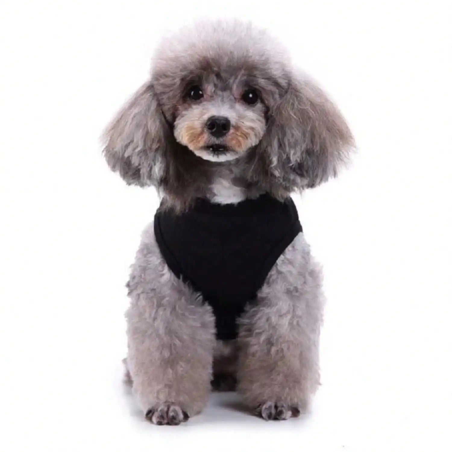 Lovely pet print vest dog T-shirt summer breathable clothes