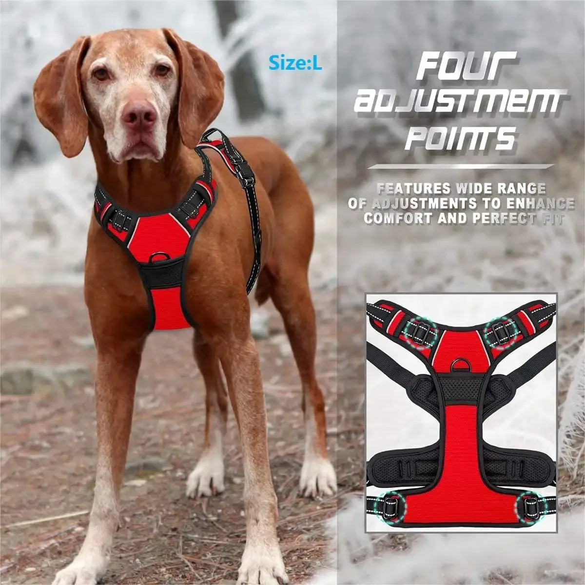 Dog Collars Harness Big Vests Leash Leather Accessories Medium Small Set