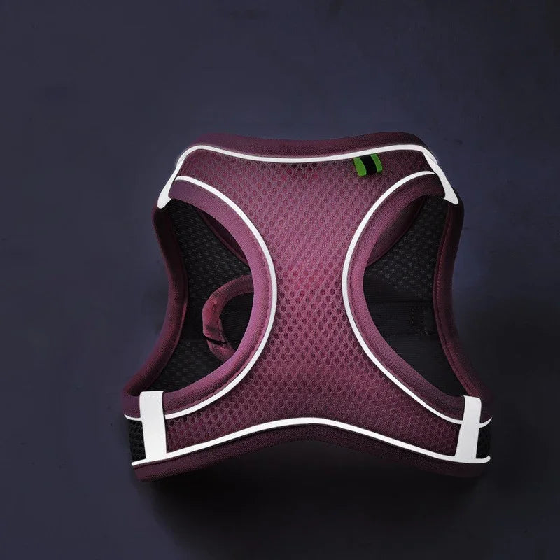 Cat Dog Harness Vest Chest Rope Set Reflective Breathable Adjustable Pet Harness for Small Medium Dogs