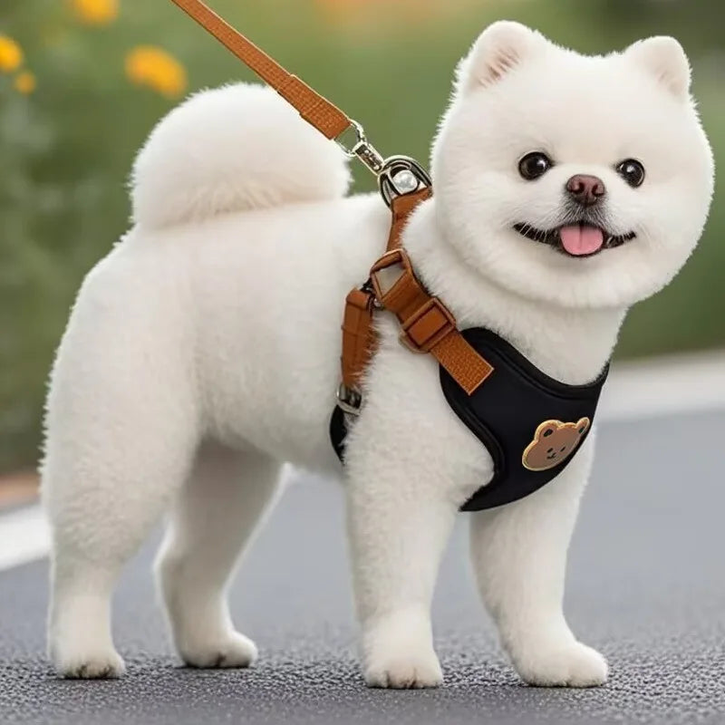 Dog Harness Leash Set Small Medium Dog Cat Vest Breathable