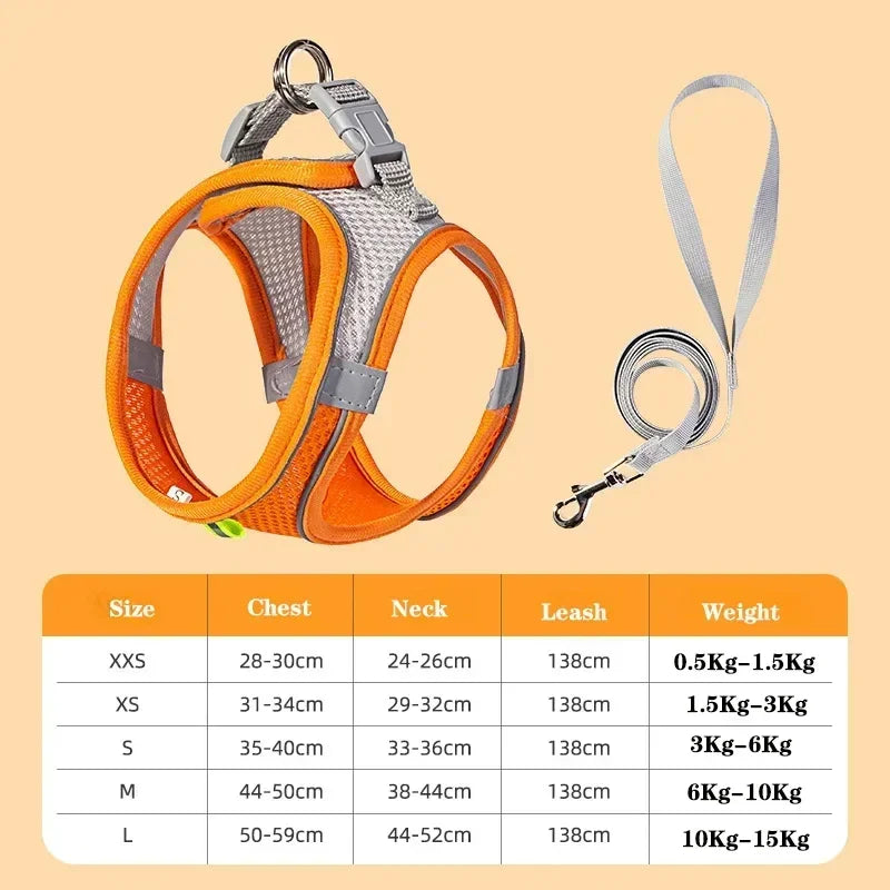 Dog Harness Leash Set for Small dogs