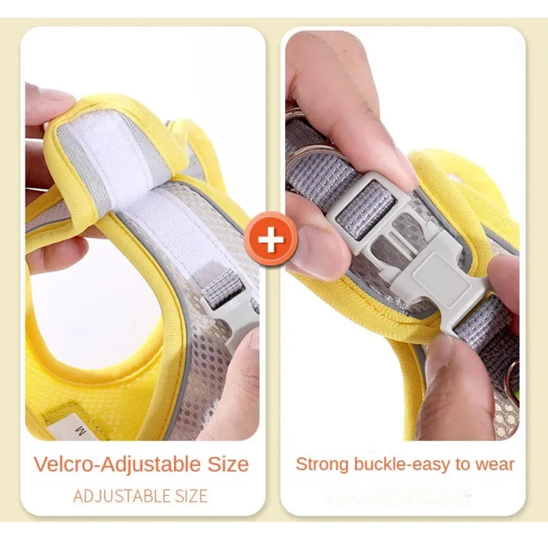 Cat Dog Harness Vest Chest Rope Set Reflective Breathable Adjustable Pet Harness for Small Medium Dogs