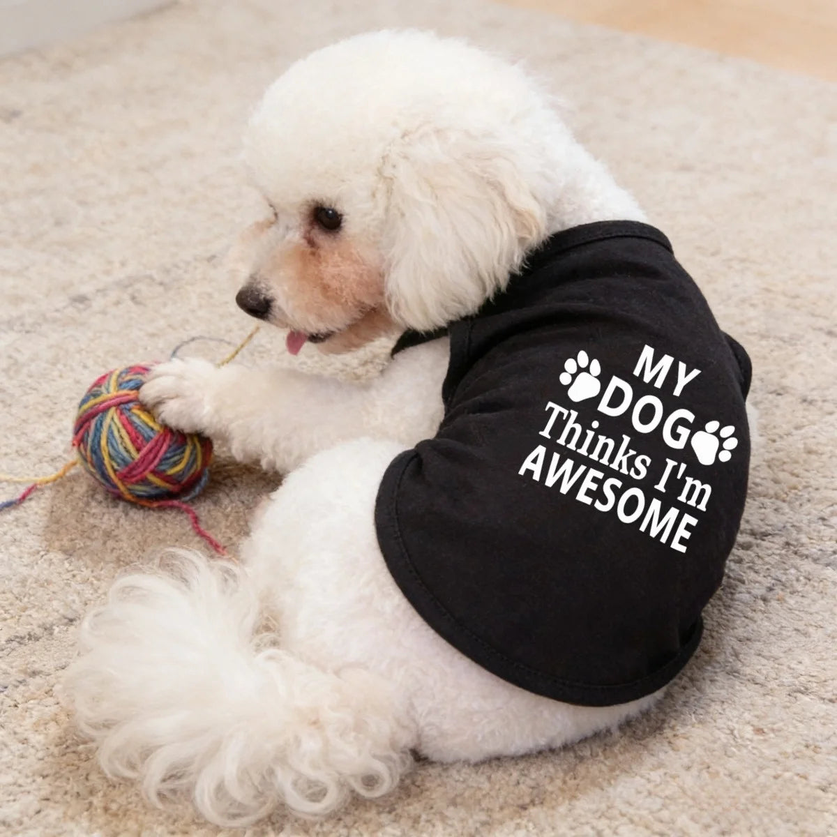 Classic letter printed pet vest, "MY DOG Thinks I'm AWESOME" multi-color pet T-shirt