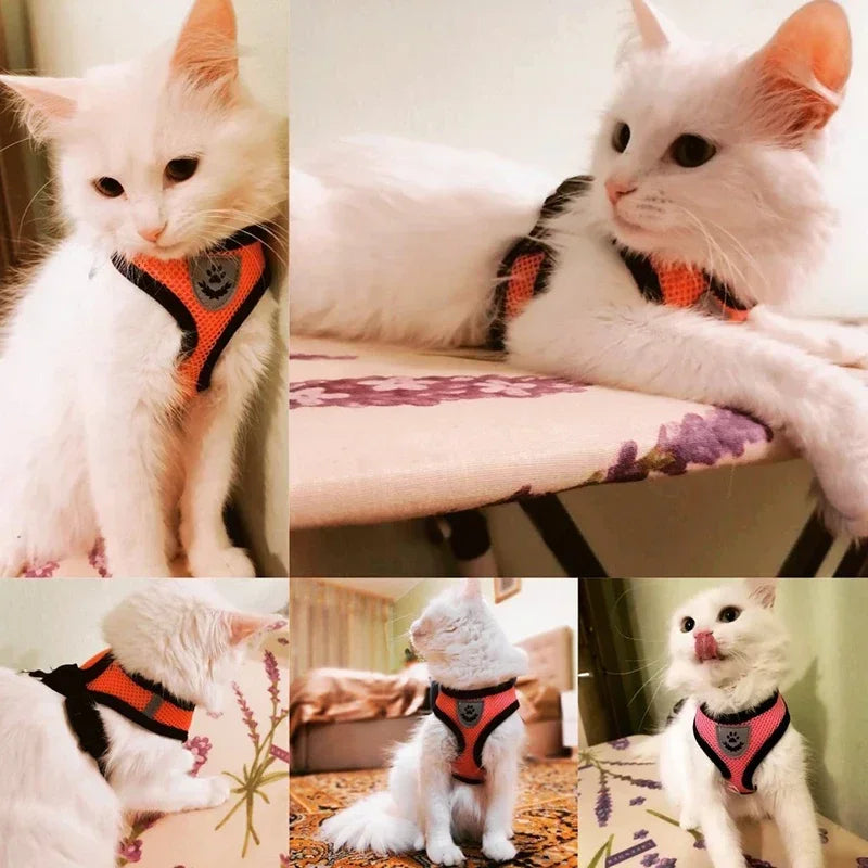 Cat Harness Vest Walking Lead Leash For Puppy Dogs Collar Polyester Adjustable Mesh Dog Harness