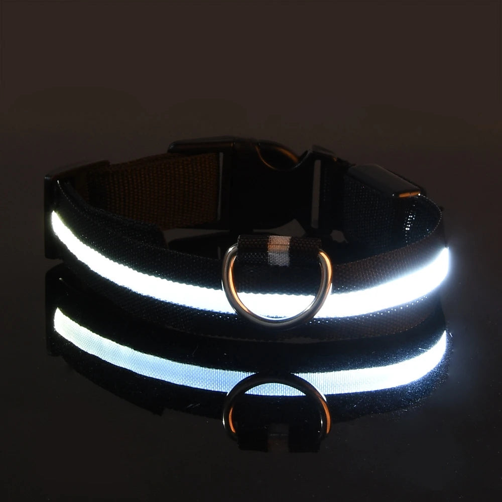 Nylon LED Night Safety Flashing Glow in The Dark Dog Leash Dogs Luminous Fluorescent Pet Dog Collar
