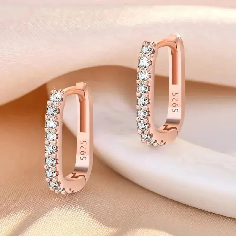 Original designer 925 Sterling Silver Elegant Crystal Jewelry Fashion Zircon Circle Hoop Earrings for Woman