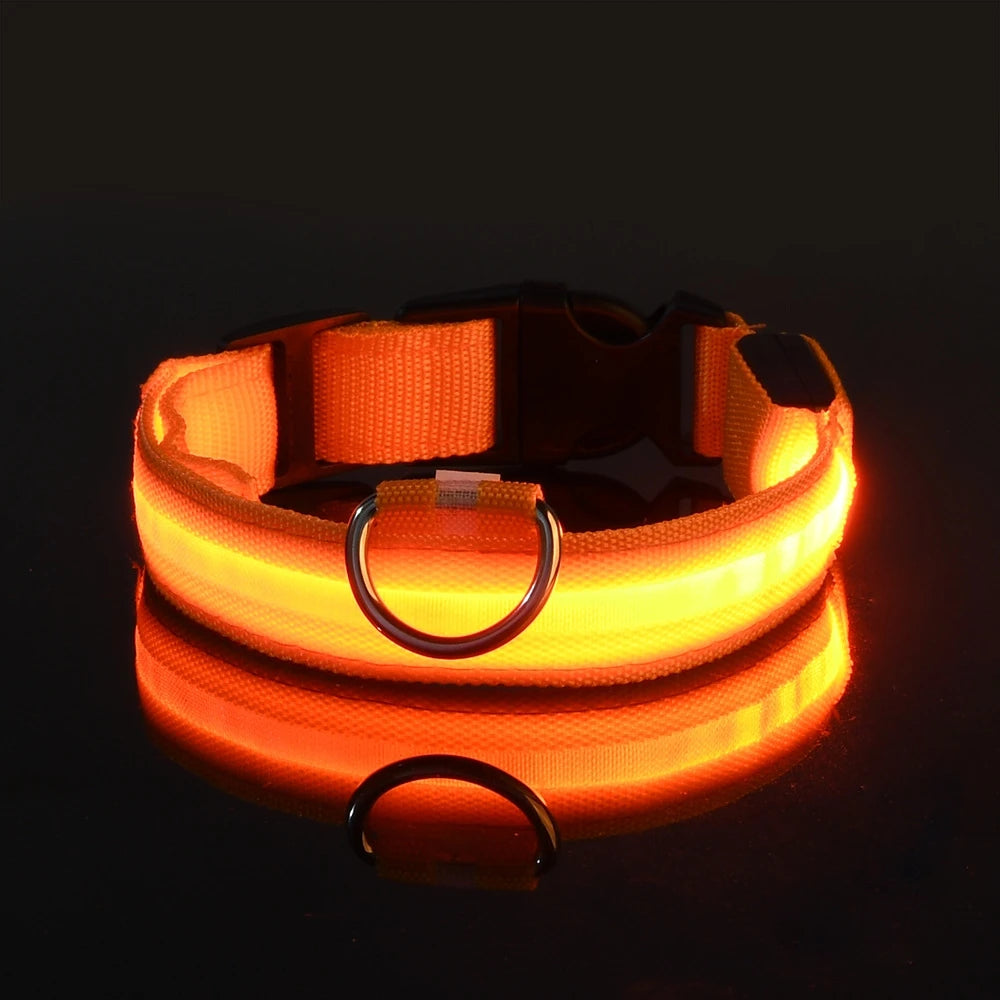 Nylon LED Night Safety Flashing Glow in The Dark Dog Leash Dogs Luminous Fluorescent Pet Dog Collar