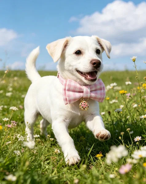 Beautiful pet collar cat dog bow plaid bell collar floral colored