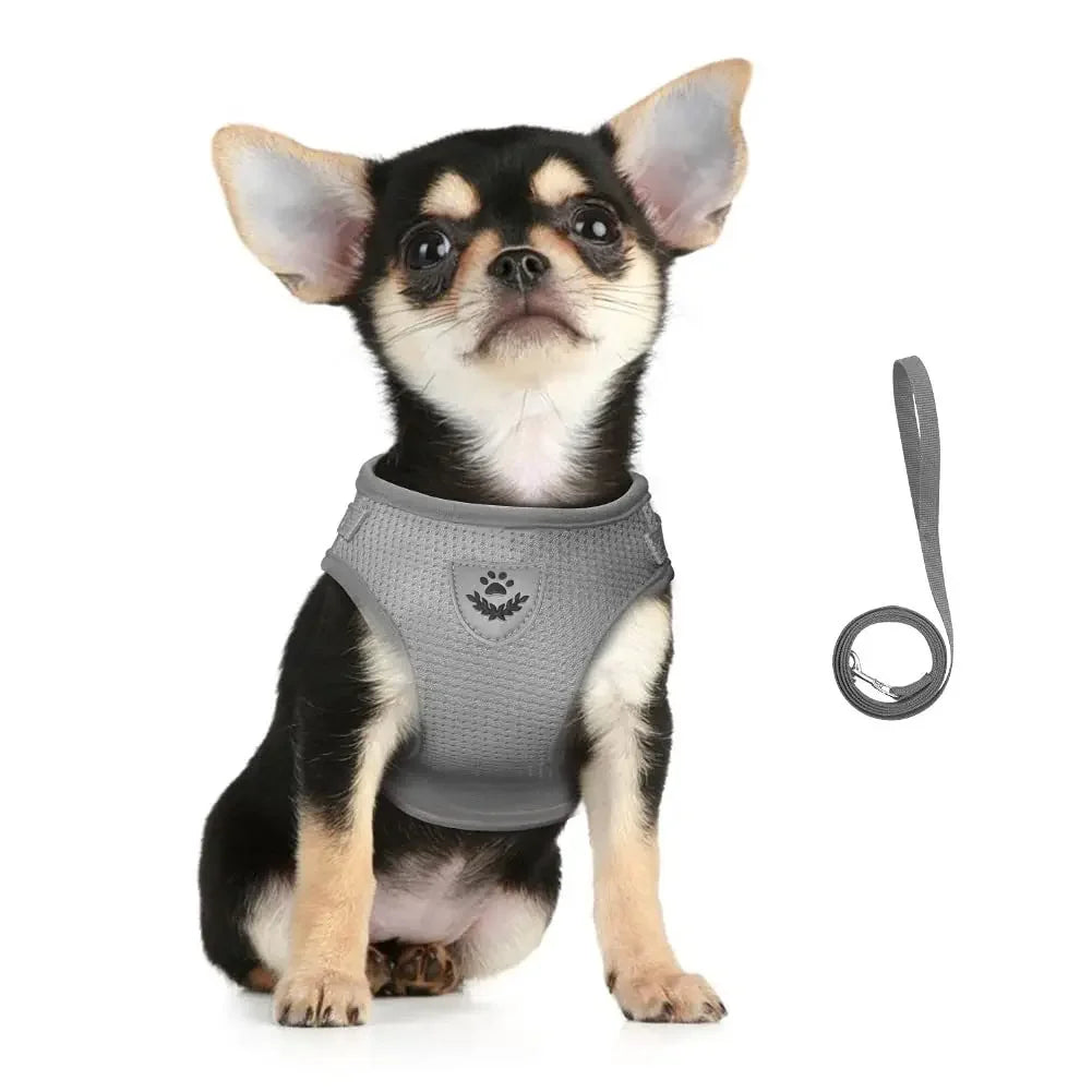 Cat Harness Lead Leash Set Adjustable Reflective Escape Proof Pet Mesh Vest Harness