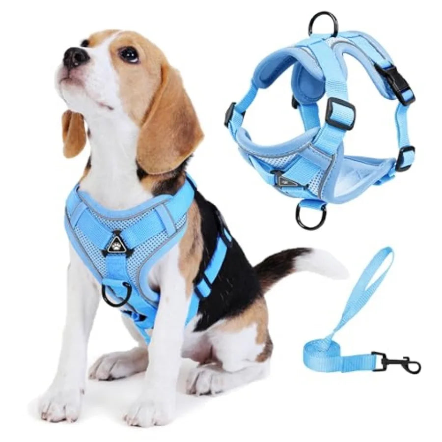 No Pull Dog Harness with Leash Set for Small Sized Dog, Reflective Adjustable