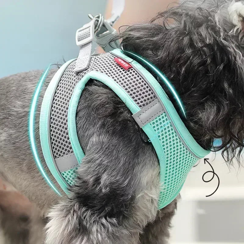 Dog Harness Leash Set for Small dogs
