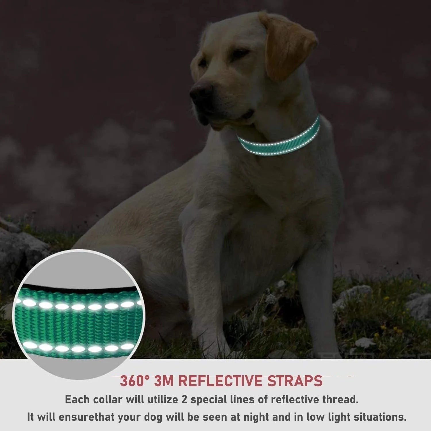 Reflective Dog Collar Medium Dogs Adjustable Soft Nylon Collar Buckle