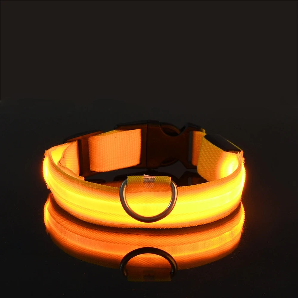 Nylon LED Night Safety Flashing Glow in The Dark Dog Leash Dogs Luminous Fluorescent Pet Dog Collar