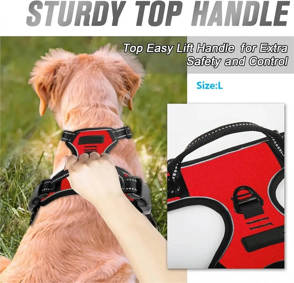 Dog Collars Harness Big Vests Leash Leather Accessories Medium Small Set