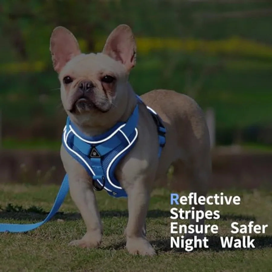 No Pull Dog Harness with Leash Set for Small Sized Dog, Reflective Adjustable