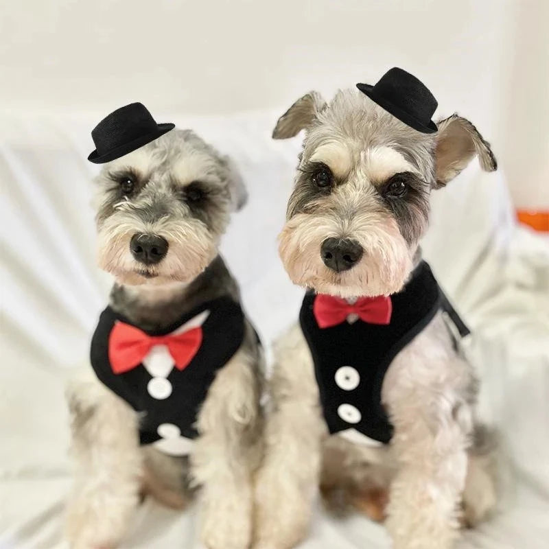 Elegant Bowtie Dog Harness Vest with Leash Adjustable Cat Harness Leash Set Cute Bowknot Tuxedo
