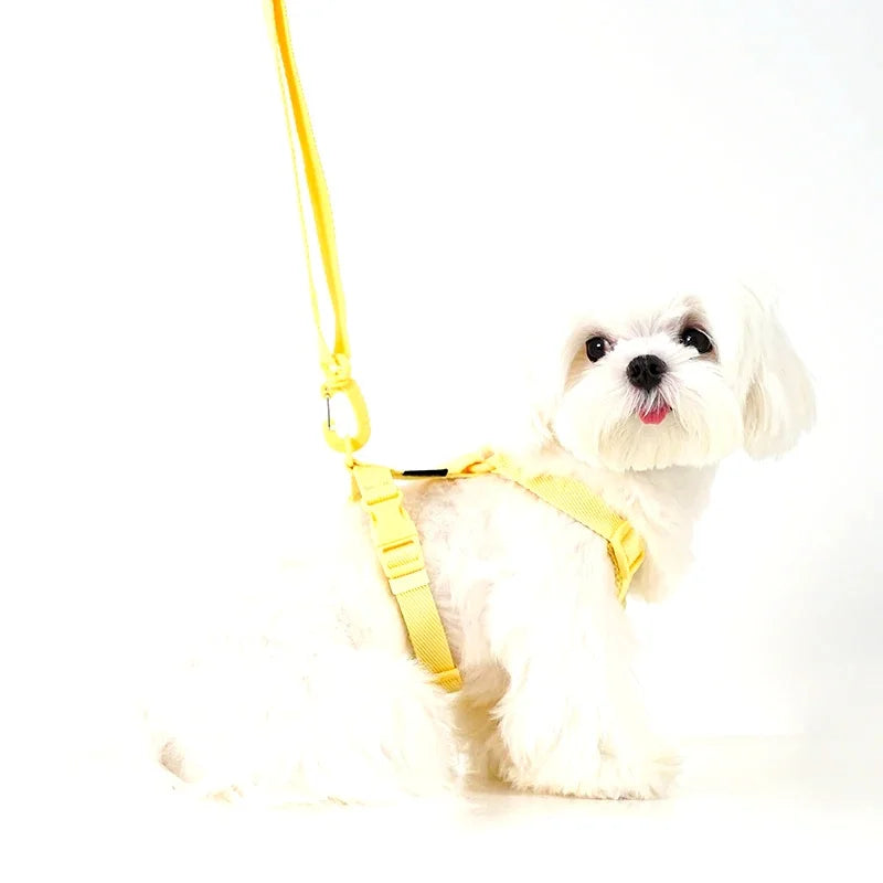 Adjustable Dog Harness Collar Leash Set Macarone Color, Reflective Small Dog Accessories