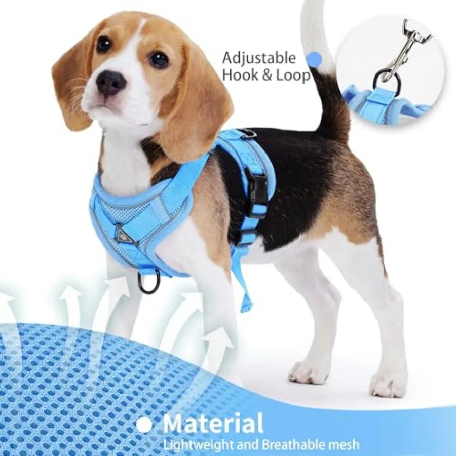 No Pull Dog Harness with Leash Set for Small Sized Dog, Reflective Adjustable