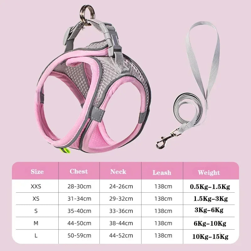 Dog Harness Leash Set for Small dogs