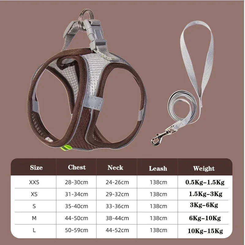 Dog Harness Leash Set for Small dogs