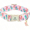 Dinosaur Cute Dog Collar, Suitable For Medium Dogs, Adjustable And Durable