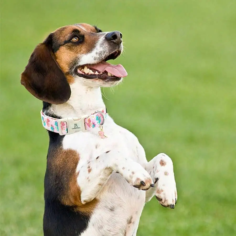Dinosaur Cute Dog Collar, Suitable For Medium Dogs, Adjustable And Durable