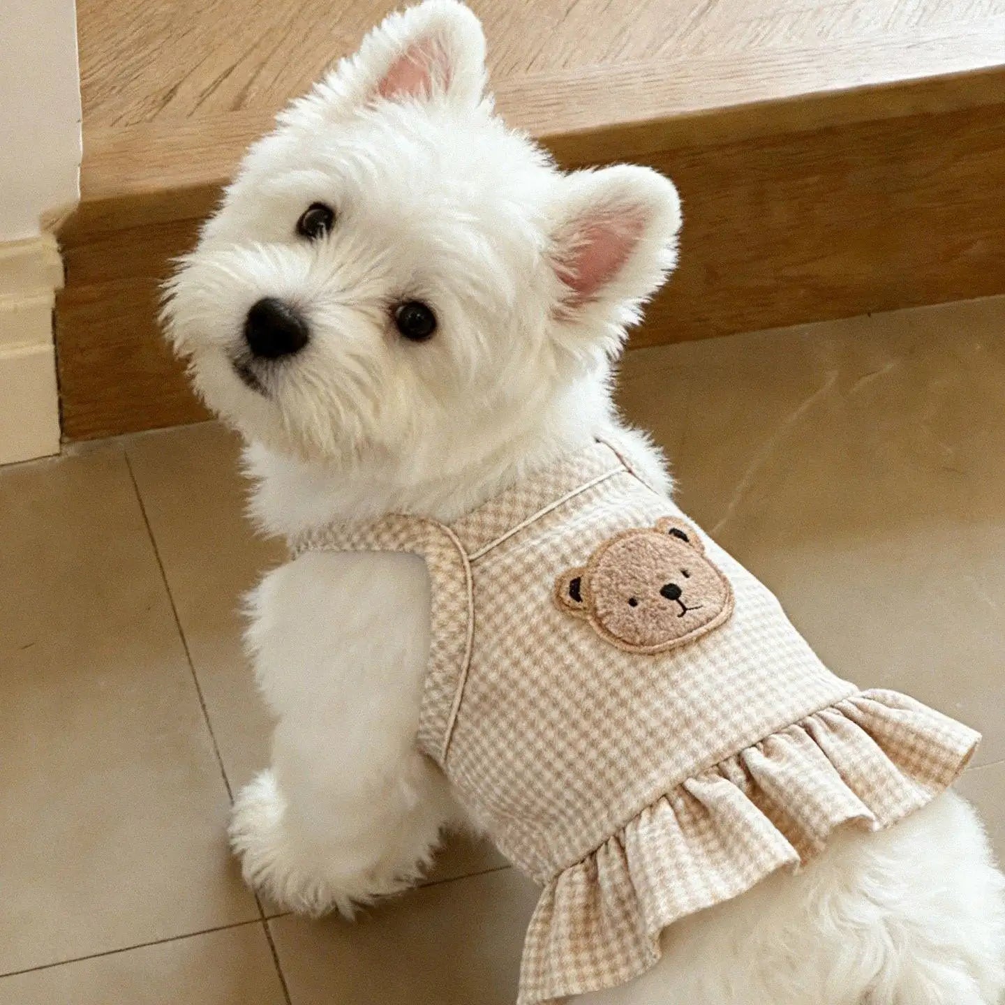 Dogs Thin Small Fashion Shirt Solid T-shirt Clothing Breathable
