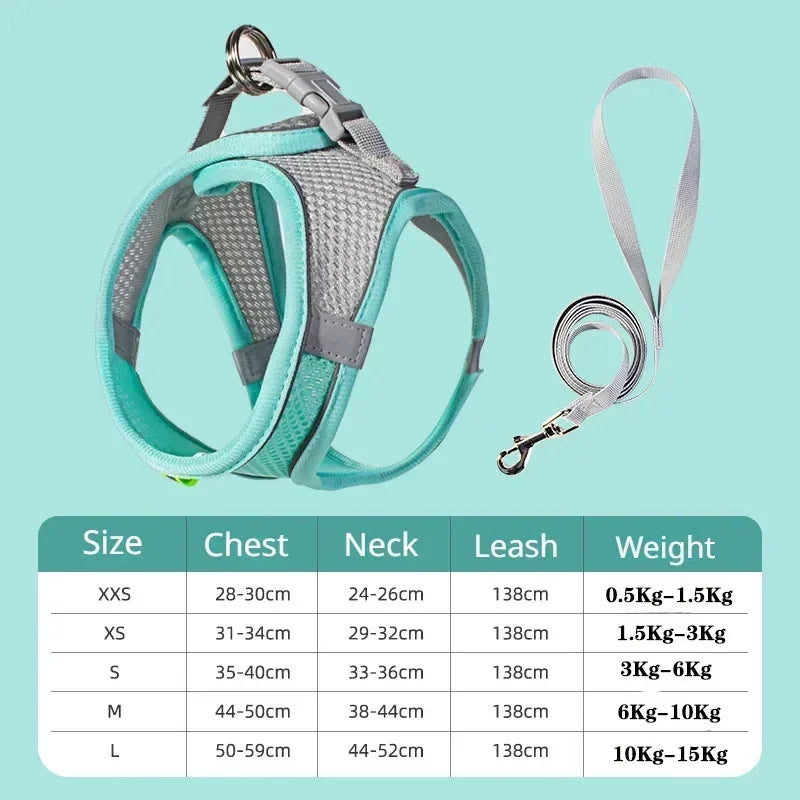 Dog Harness Leash Set for Small dogs