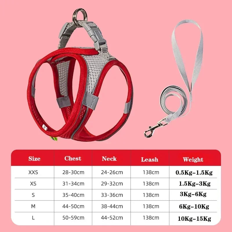 Dog Harness Leash Set for Small dogs
