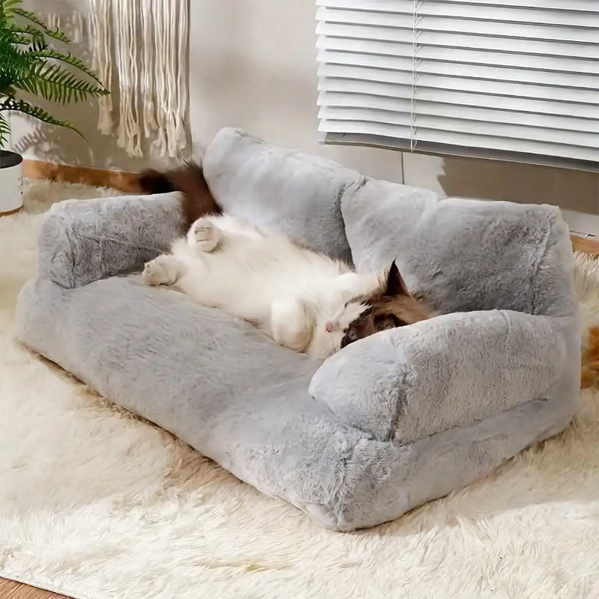 Dog Sofa, Small Dog Bed With Colorful Elastic Balls For Playing Removable And Washable Cover