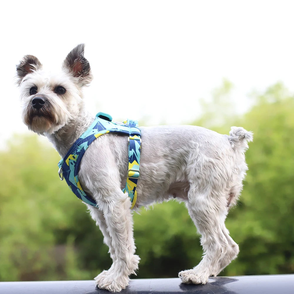Dog Cat Harness Adjustable Vest Walking Lead Leash For Puppy Dogs Collar Polyester Mesh Harness