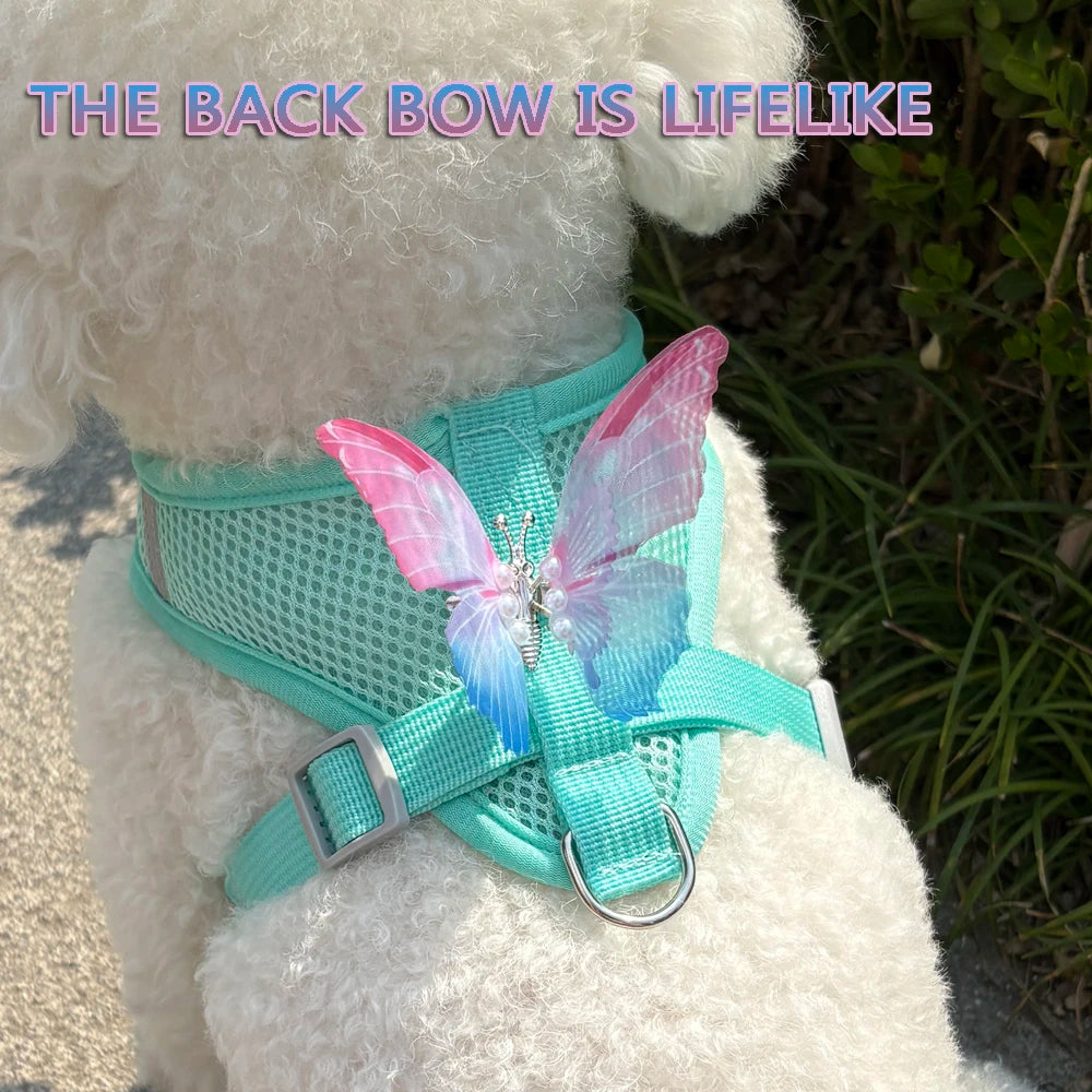Butterfly Vest Harness Breathable Cute Small Dog Cat Puppy Safe Nylon