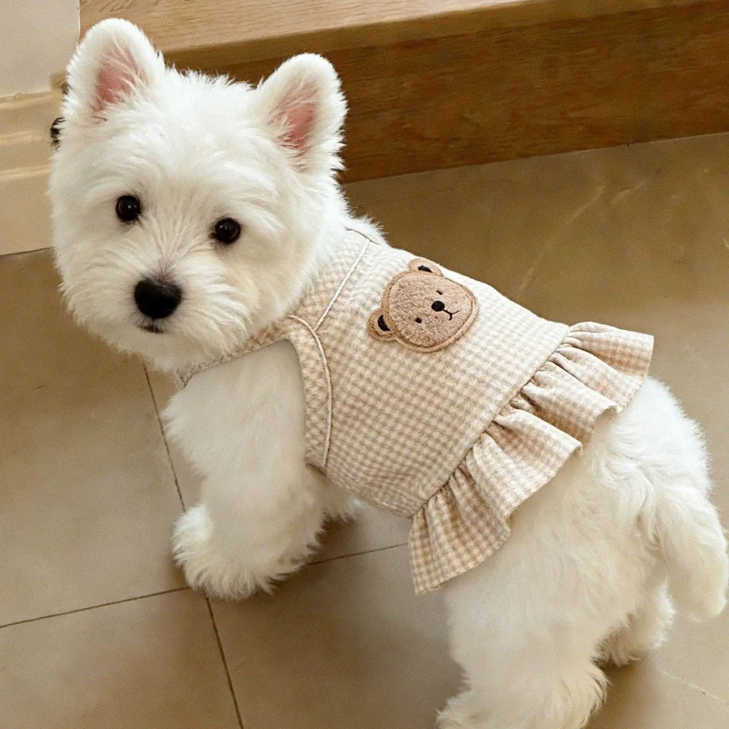 Dogs Thin Small Fashion Shirt Solid T-shirt Clothing Breathable