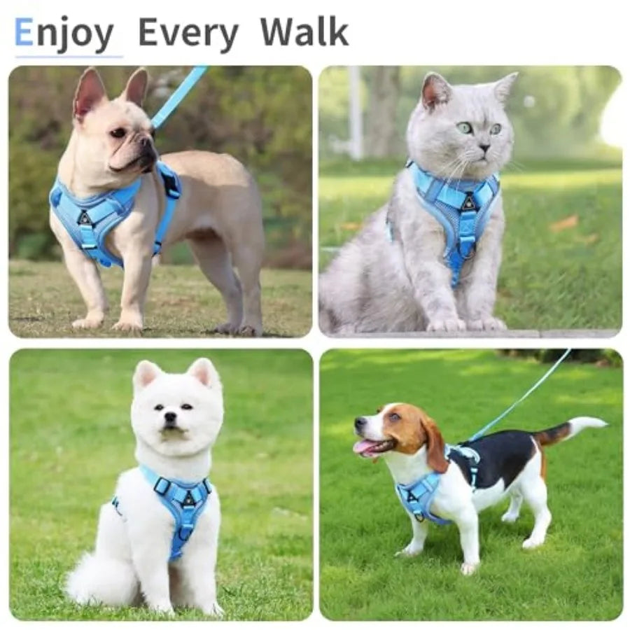 No Pull Dog Harness with Leash Set for Small Sized Dog, Reflective Adjustable