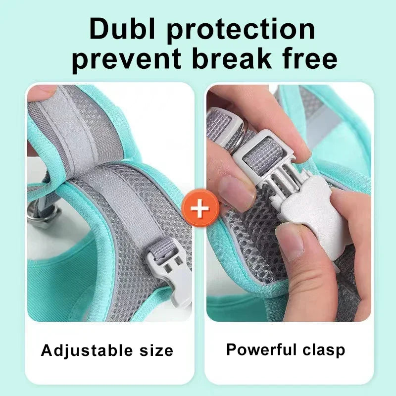 Dog Harness Leash Set for Small dogs