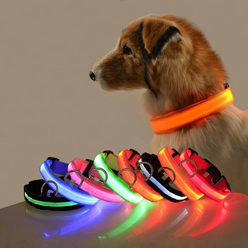 Nylon LED Night Safety Flashing Glow in The Dark Dog Leash Dogs Luminous Fluorescent Pet Dog Collar