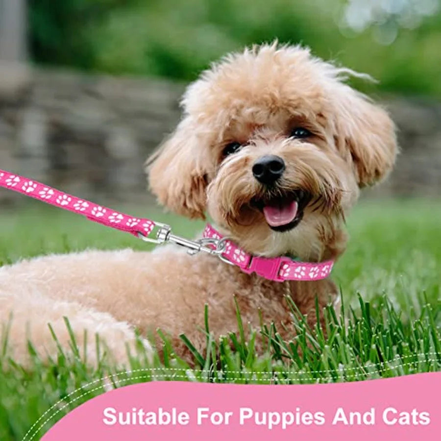 2 Packs Dog Collar and Leash Set, Puppy Collar and Lead Set Quick Release Buckle Adjustable Paw Print