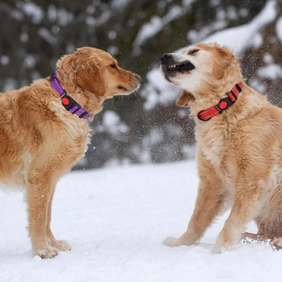 3 PCS Dog Collars for Small Dogs, Reflective Dog Collar Adjustable Soft Nylon with Safety Locking Buckle