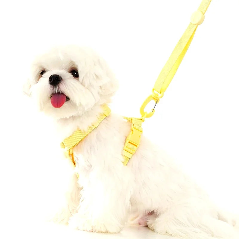 Adjustable Dog Harness Collar Leash Set Macarone Color, Reflective Small Dog Accessories