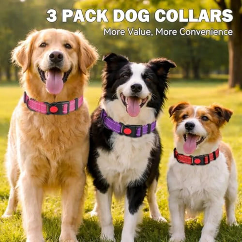 3 PCS Dog Collars for Small Dogs, Reflective Dog Collar Adjustable Soft Nylon with Safety Locking Buckle