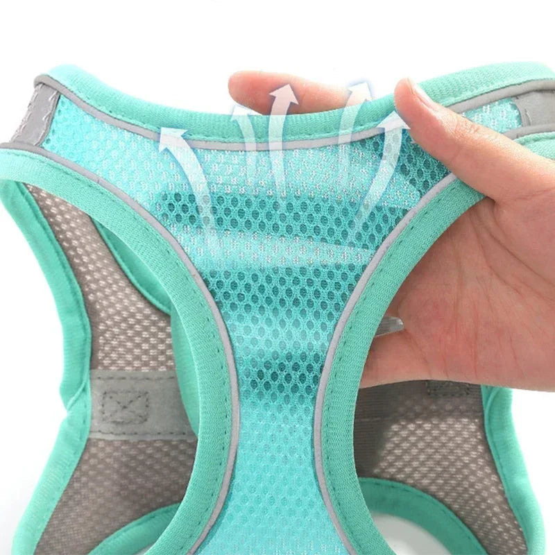 Dog Harness Leash Set for Small dogs