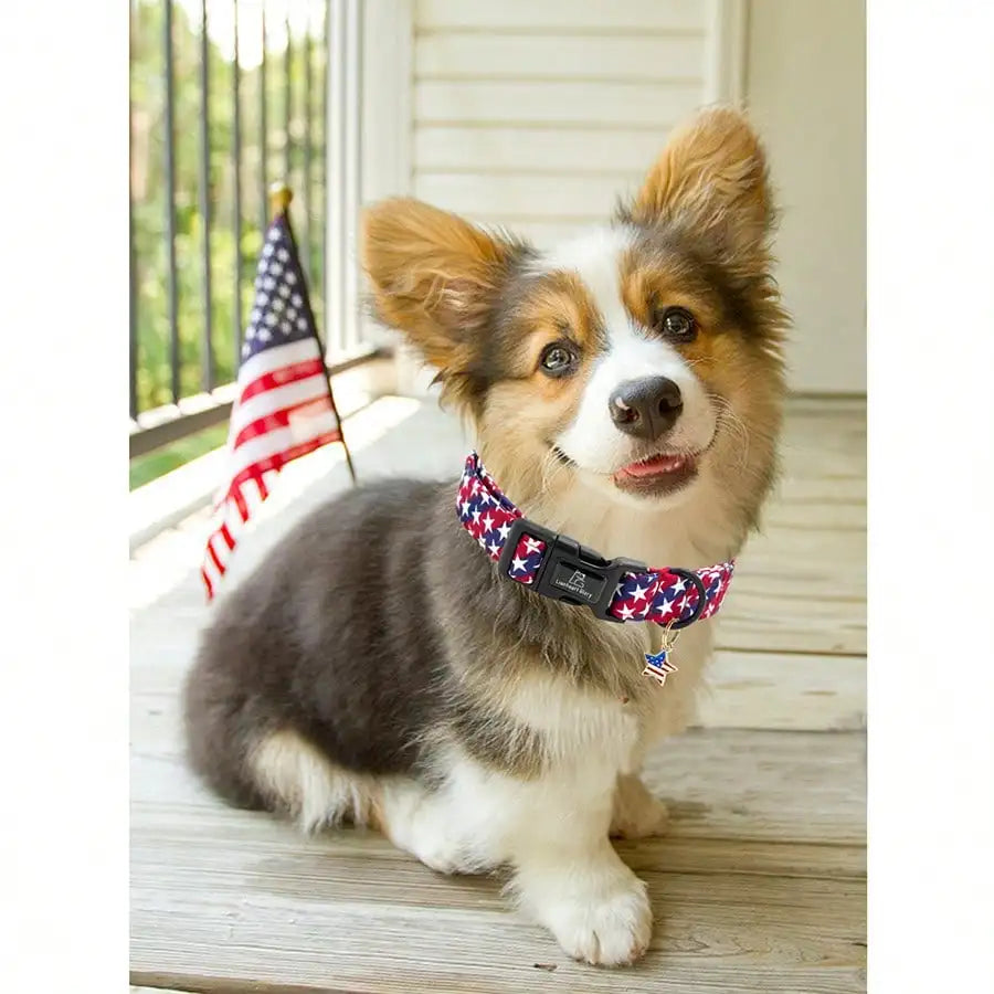 4th Of July Independence Day Patriotic Pet Collar American Flag Pattern Adjustable