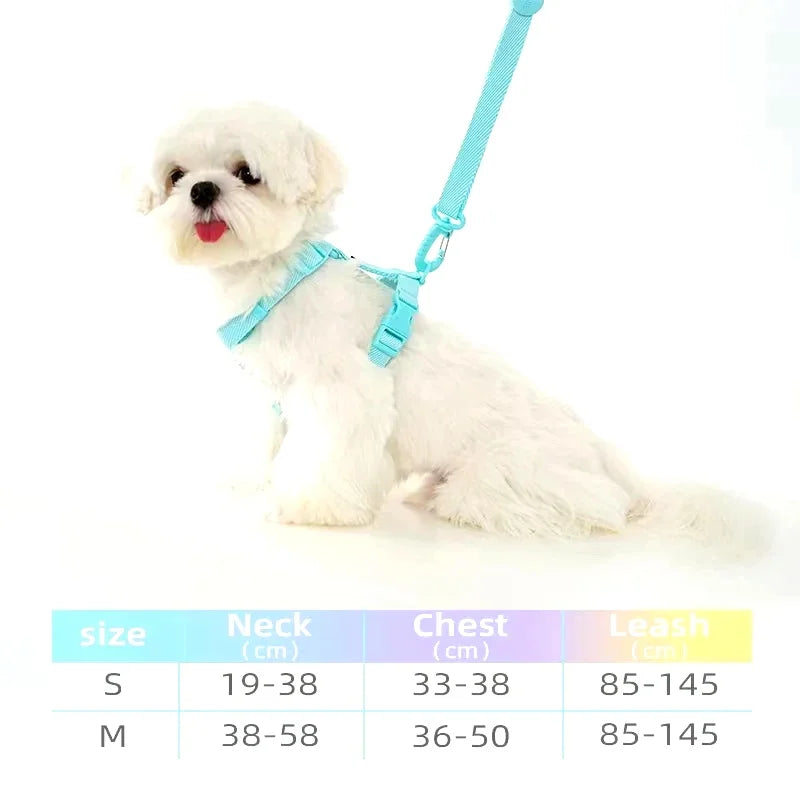 Adjustable Dog Harness Collar Leash Set Macarone Color, Reflective Small Dog Accessories